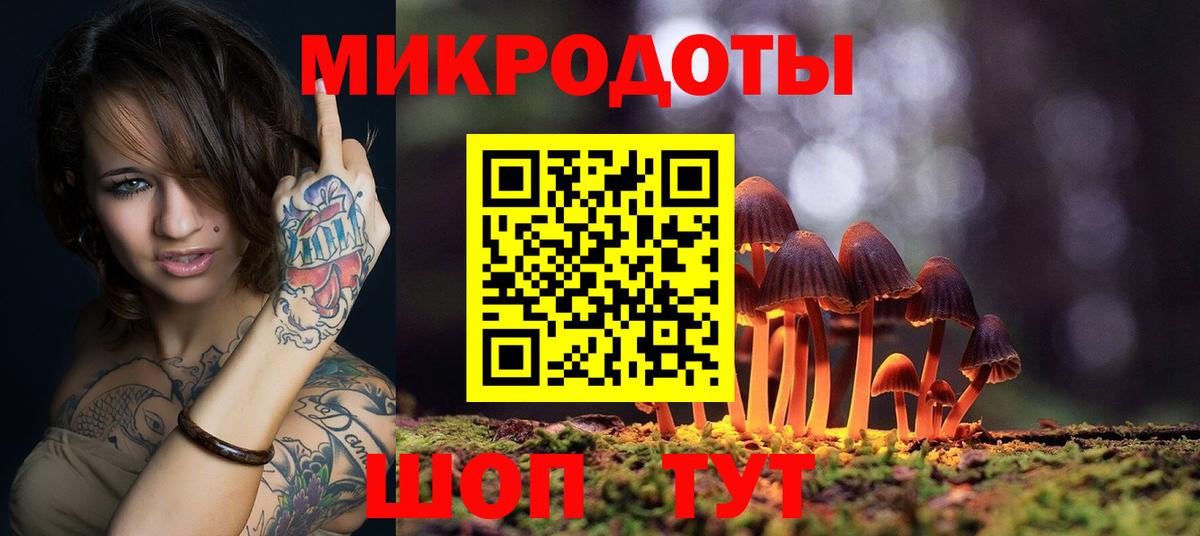 Галлюциногенные грибы Psilocybine cubensis  Вход с VPN  Белово  Псилоцибиновые грибы Psilocybine cubensis 